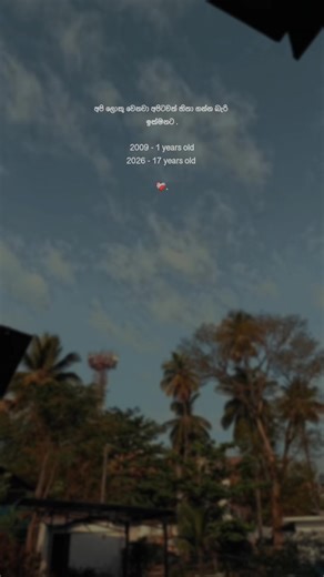 Heartfelt Sinhala Quotes for WhatsApp Status