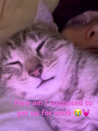 My lil snuggle buddy #cats #kitten