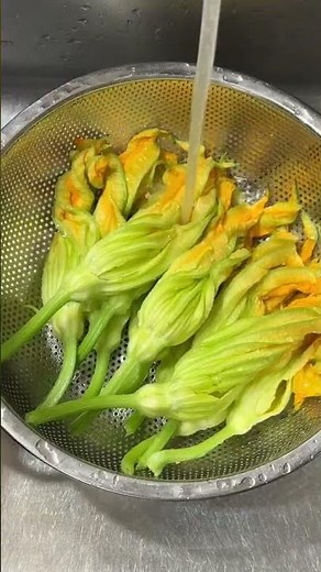 6/5/26: Ricette di Antonella: Fiori di zucca fritti croccanti, un morso e spariscono