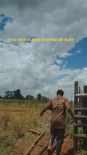 Grateful for these simple days#cropscience #farming #FarmLife #SurvivalMode #StillGoing