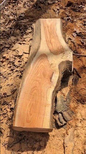 first slab of honey locust