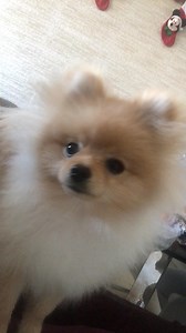 CASTLER✨ on Instagram: "Por qué estoy tan inactivo…"