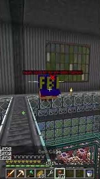Fbi Bee #modded #minecraft