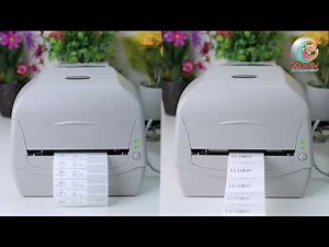 How to use Argox CP2140M print both retangle label and jewelry sticker via Windows PC