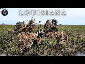Duck Hunting and Shooting Invasive Nutria Rats in LOUISIANA!