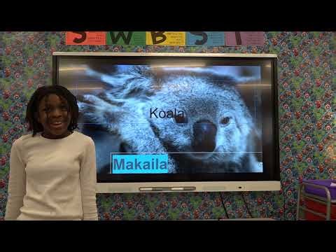Ms Richard's 3rd Grade Class