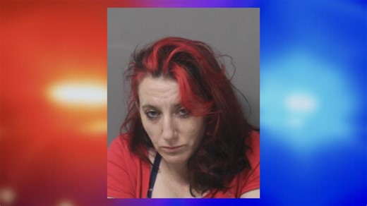 NYSP: Bath woman arrested after ‘returning’ unpaid items at Walmart