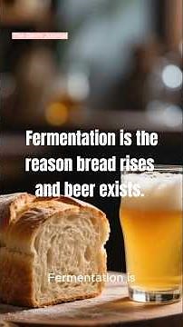 Fermentation #yeastfermentation #fermentationprocess