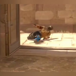 Have you seen anything like this in CS2/CSGO? -- Lootbear is a monthly subscription service that allows you to pay a small monthly fee in exchange for CSGO skins! -- Follow for more! -- -- #csgo #counterstrike #csgomemes #csgomeme #csgoskins #csgovideo #csgoknife #csgoplayer #csgoskin #csgofunny #csgofun #csgofunnyclips #karambit #csgoclip #cs #counterstrikeglobaloffensive #csgovideos #steam #valve #esports #csgogiveaway #navi #gaben #globaloffensive #cs2 #counterstrike2 | LootBear