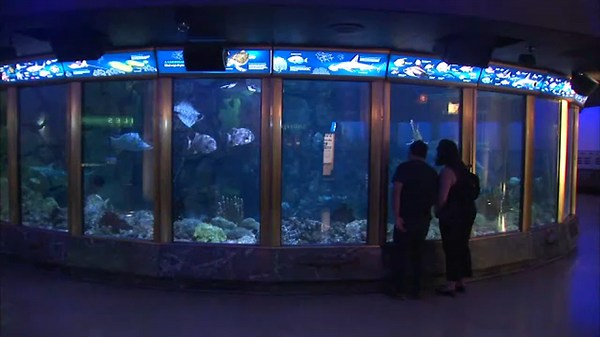 Chicago museums announce free admission days