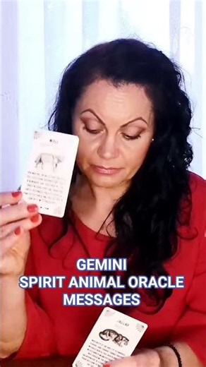 Gemini Spirit Animal Oracle Message