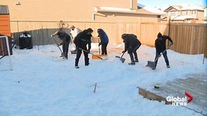 How to build the perfect backyard rink | Globalnews.ca