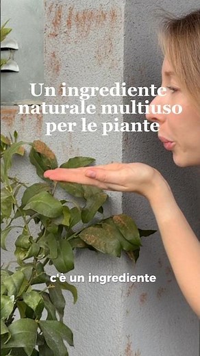 Cannella multiuso per piante 🌱