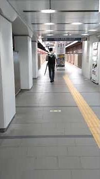 東京メトロ丸ノ内線方南町駅 駅構内の様子