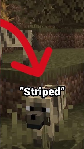 DOG BREEDS in MINECRAFT 1.21 / Snapshot 24w10a #minecraft