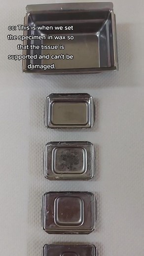 Histology Embedding Process in the Laboratory