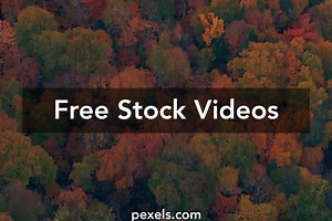 Free Holy+Nature+Pure+Nudism+Pictures+And+Videos Videos