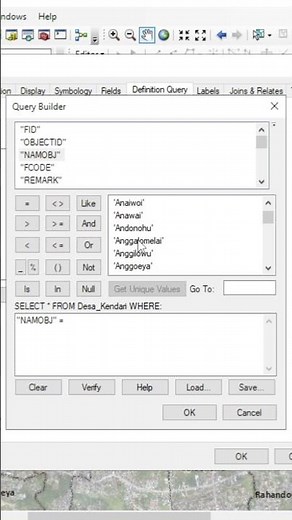 Tricks to display only one feature in ArcGIS #mapping #arcgis #arcgisdesktop #arcgistutorial