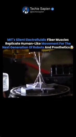 How MIT's Silent Artificial Muscles Mimic Human Movement For Future Robots And Prosthetics 🤖🤯