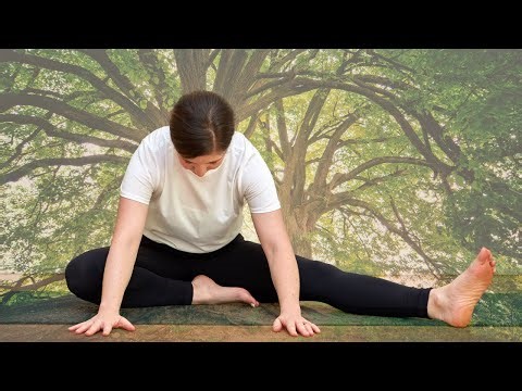 30-Min Yin Yoga: Tree-Inspired Poses to Branch Out & Grow! No Props