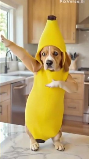 🐶🍌 Dancing BANANA DOG to Chicken Banana 😂🎶