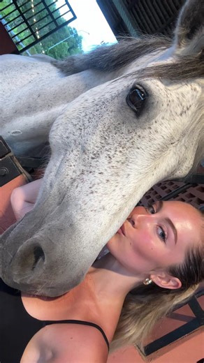 Heloise (@heloise.hut)’s videos with original sound - _buckky_