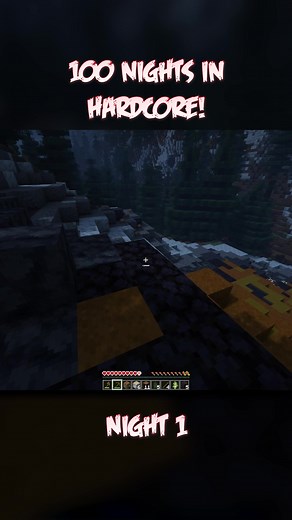 Surviving 100 Days in Minecraft with Always Night Challenge
