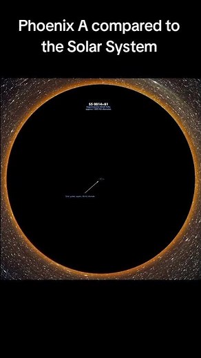 Universe Size Comparison