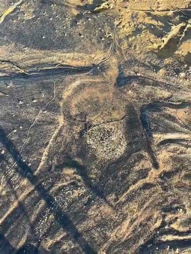 Topos ranch work u #Shorts #elviolento1