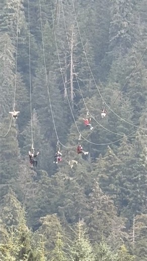 Flying Over Alaska: Riding the World's Longest Zip Line! 🦅❄️