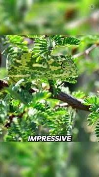 Animals that are true masters of camouflage! 😱 #shorts