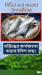 752K views · 7.6K reactions | বিভিন্ন মাছ খাওয়ার উপকারিতা  #healthtips #tips #fish #reelsviral #viralreels | World Data Knowledge | Facebook