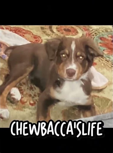 Lots of pictures from my Polaroid camera (NOT AN AD)