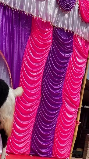 1.9K views · 74 reactions | MD Goat Farm Face Off Challenge 4.0. Coming soon on FSA | FSA Entertainment | Facebook