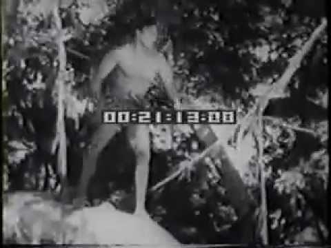 Vine-Swinging Tarzan Wrestles a Lion clip 15980