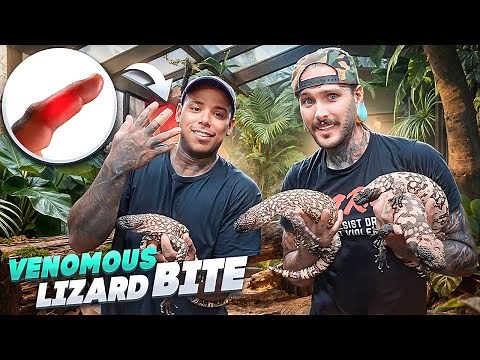 Josh got BIT by a VENOMOUS BEADED LIZARD! 🤯🤬