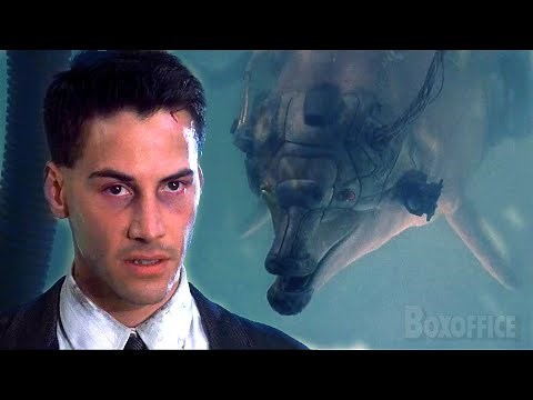 This telepathic dolphin is a lethal weapon | Johnny Mnemonic | CLIP