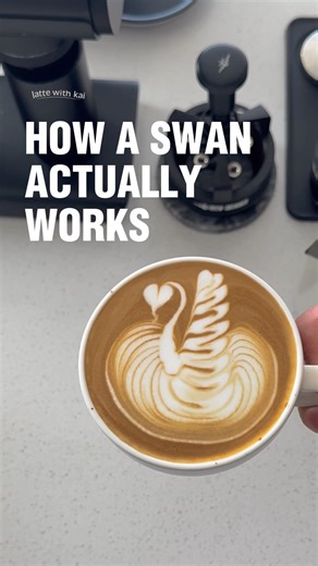 Swan Latte Art Tutorial #coffeelatteart #swanlatteart #latteart #lattearttulip