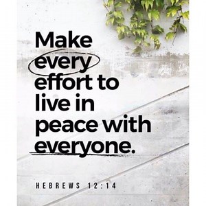 Good morning! Scripture of the day! “Follow peace with all men, and...