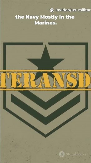 How the US Army Actually Works (Ranks & Structure Explained)