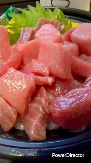 [Kozou Sushi] Big Festival of Plenty of Bluefin Tuna Toro #BluefinTuna #KozouSushi #Gourmet