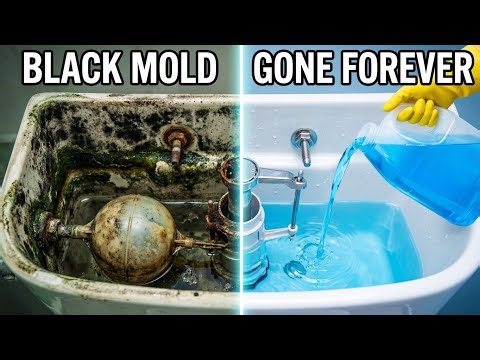 This ONE Trick Clean TOILET TANK SLIME Permanently (No Scrubbing!) – Work Even on 20-Year-Old Tanks!