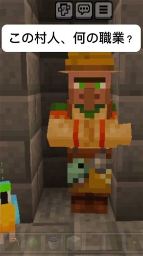 この村人、何の職業？ #マイクラ #マインクラフト #minecraft #まいくら #ゲーム