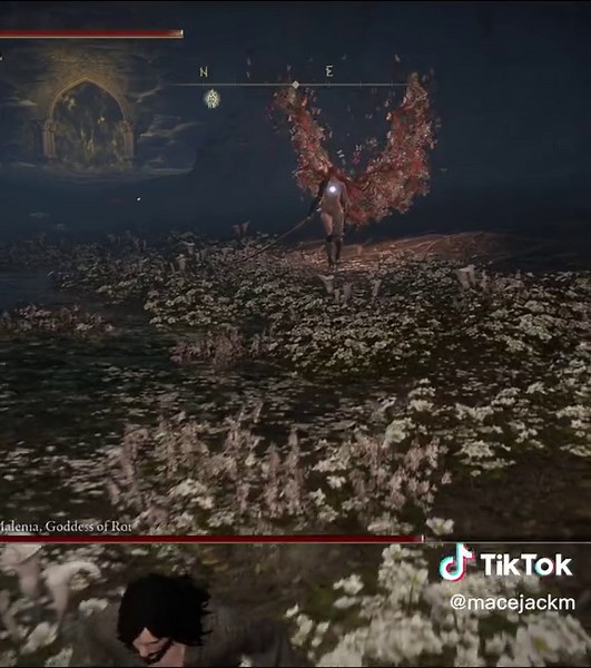 Mastering the Moistcritikal Build in Elden Ring