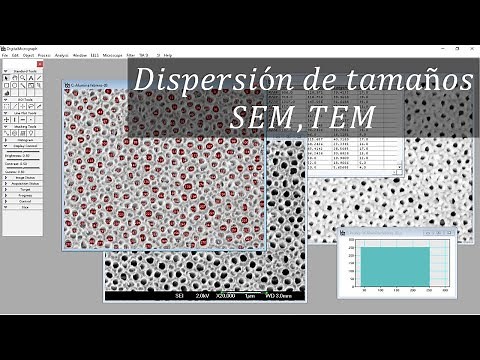 ¿Como determinar el diámetro de partículas con DigitalMicrograph?