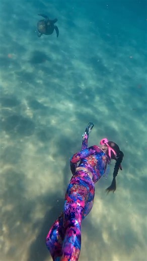 The Dive Compass | Sustainable Scuba Diving Swimwear & Apparel | What are you waiting for? | Instagram