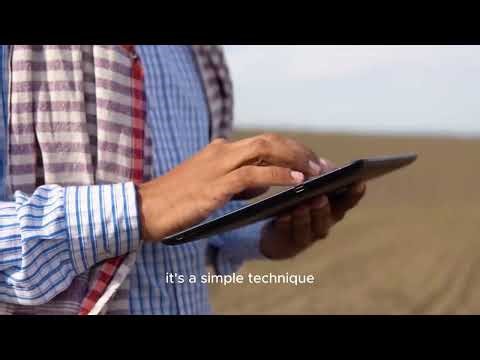 GRADE 8 AGRICULTURE – LESSON 3: SOIL CONSERVATION | CBC LEARNING. STONE LINES AND TRASH LINES.