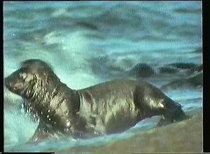 Channel 4 - Adverts (1993)