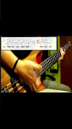 golden boy by primus 🎸 bass!
