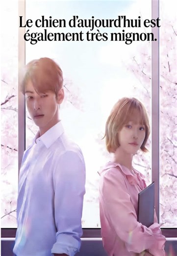 Une Femme Transformée en Chien en Plein Mystère